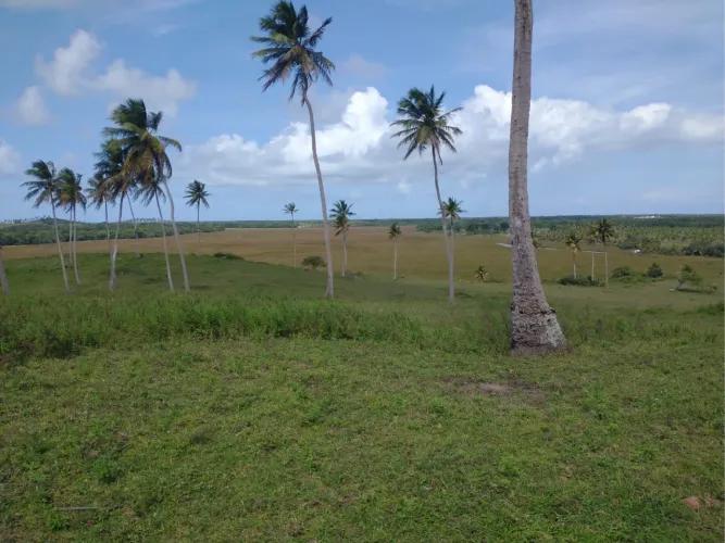Fazendinha Linha Verde