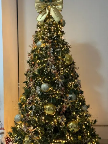 Árvore Natal
