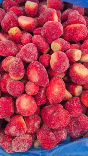 Frutas congeladas