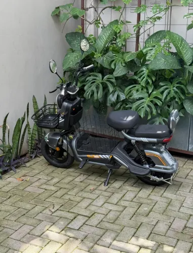 Moto elétrica 800w