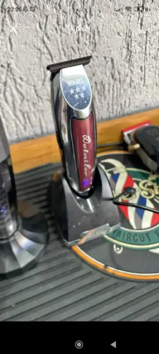 Wahl Detailer 
