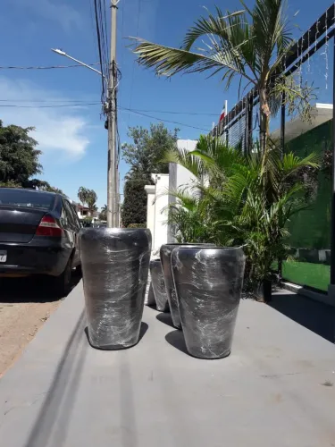 Vasos de plantas decorativos