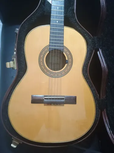 Viola concertista rozini 2004 c case
