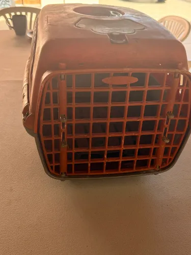 Caixa transportadora de pet