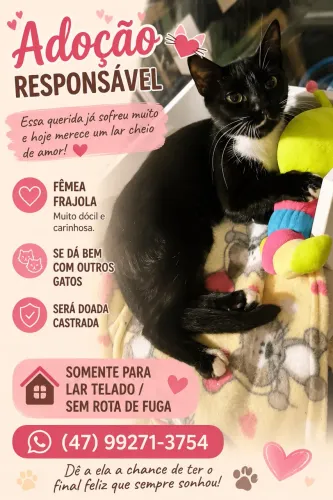 Doação 