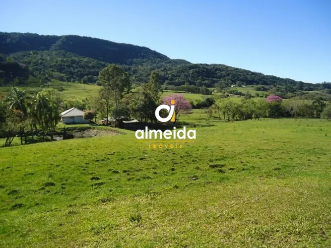 Chácara 3 dormitórios à venda Zona rural Restinga Seca/RS