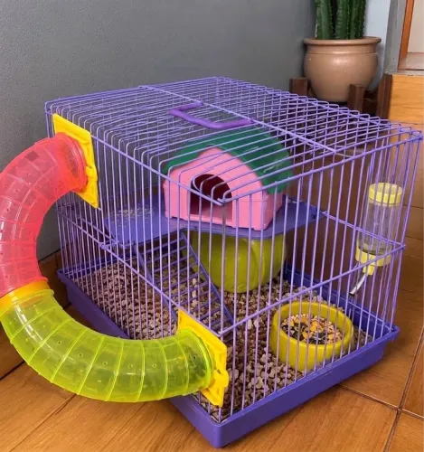 Gaiola com Hamster