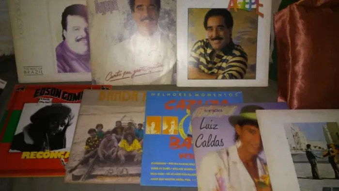 Discos de Vinil coleção