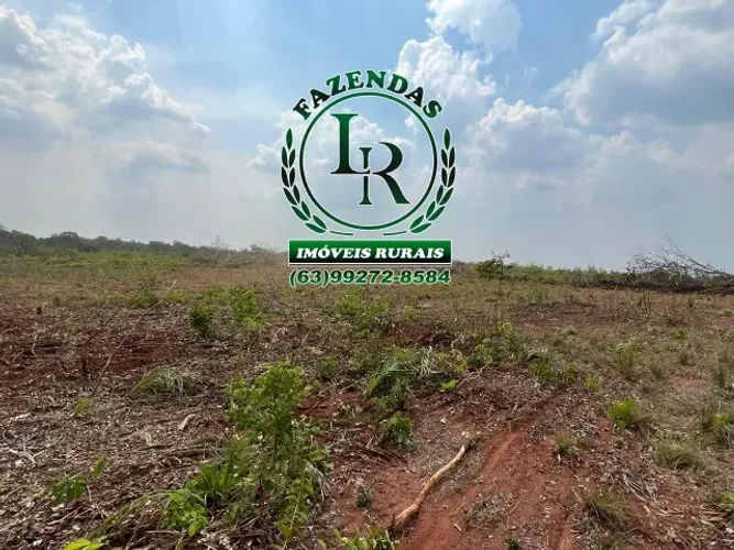 Fazenda Estado Tocantins Dupla Aptidão Área 402 Hectares