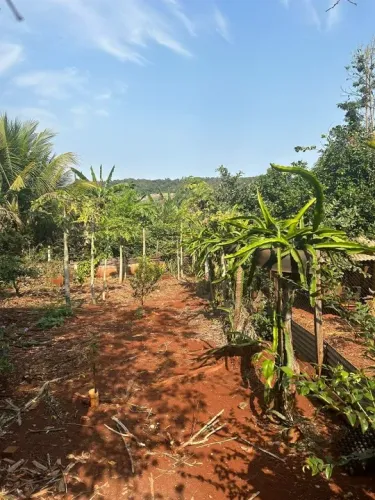 Chácara de 2.250,00 m2 no condomínio Marajoara em Ibiporã, com casa e pomar.