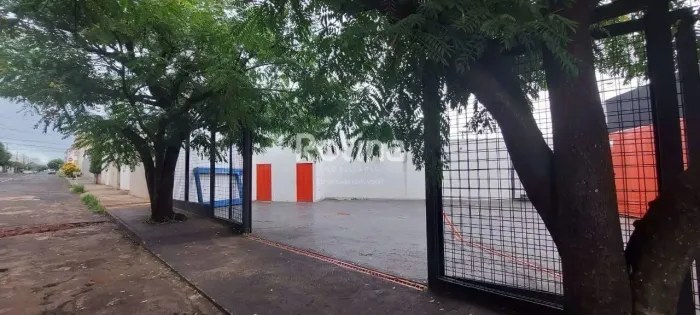 Loja para alugar, Santa Mônica - Uberlândia/MG - Rotina Imobiliária