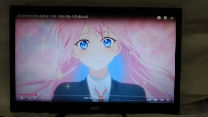 Monitor AOC E970SWNL 18.5" LED HD, 60Hz, 5Ms, VGA, Widescreen Oportunidade!