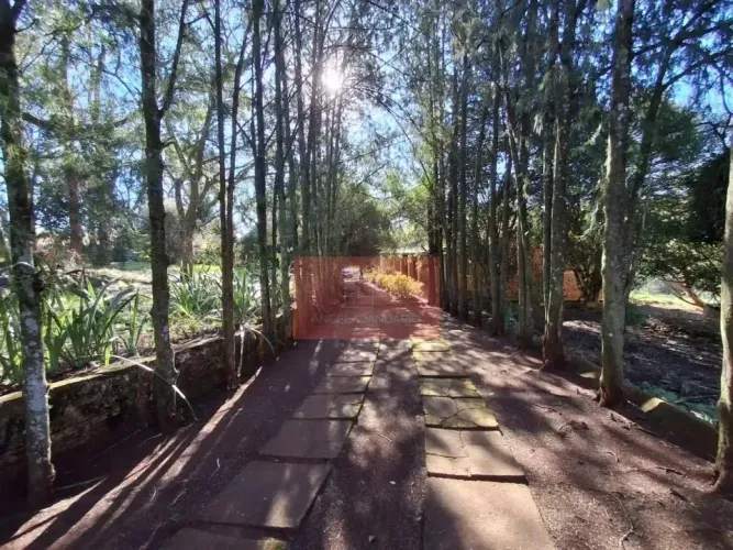Fazenda/Sítios/Chácaras Á Venda Sitio Londrina