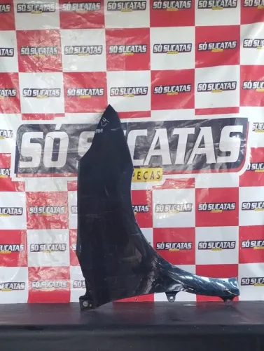 PARALAMA DIREITO C4 PALLAS 2009