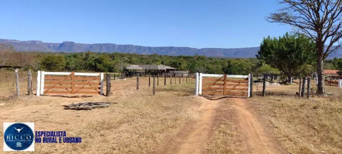 Fazenda à Venda em Formosa GO | 295 Hectares | Dupla Aptidão