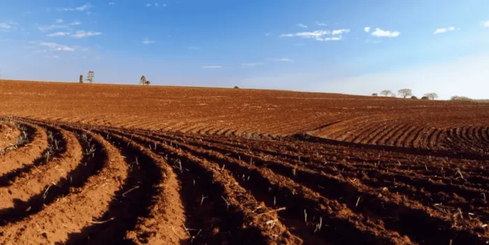 Maringá/ Astorga, Fazenda plana 600 hectares, ou 248 alqueires, Plantando 180 alqueires, p