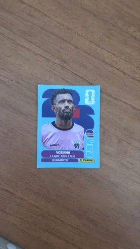 Vozinha melhor goleiro