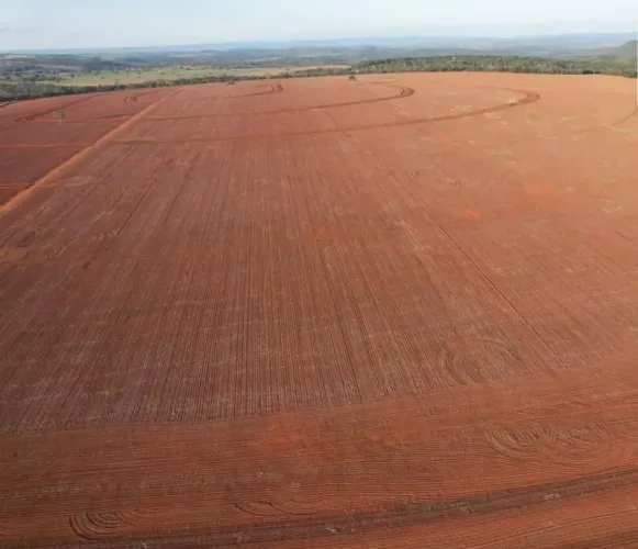 Fazenda a venda no Município Barra do Garças - MT