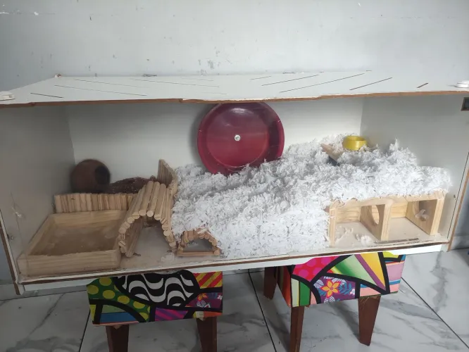 Terrário com acessórios para Hamsters 100x50x50