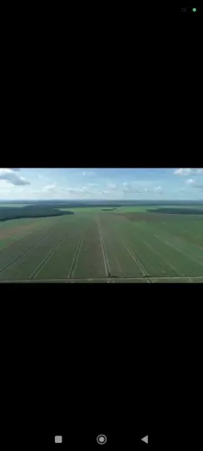 Fazenda de arrendamento Soja, 10.000 hec pronto mais 5.000hec preparando santana araguaia