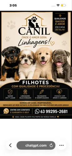 Venda de pet ?
