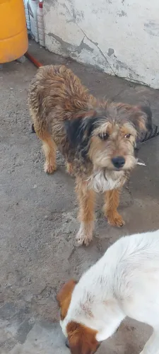 Doação