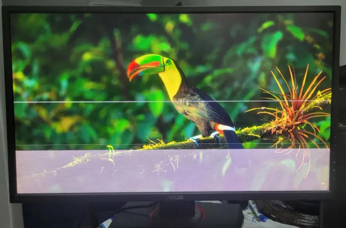 Monitor 27 ASUS  MG278Q 144hz 2k (NO ESTADO)