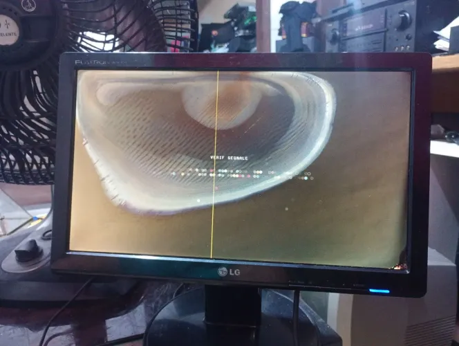 Monitor Lg 16 pol