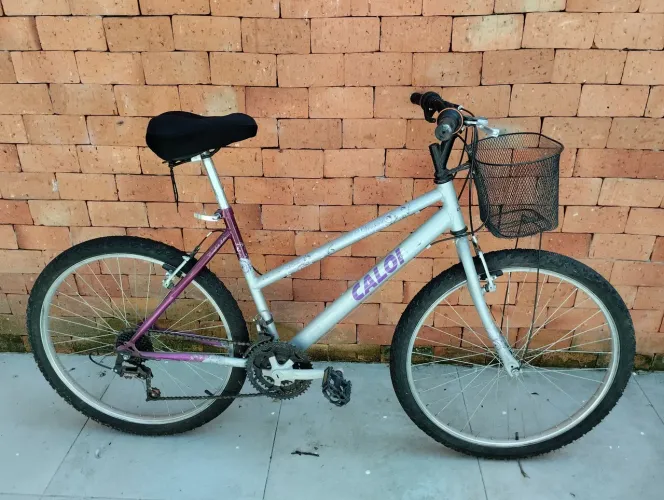2 Caloi ventura. 350 cada.