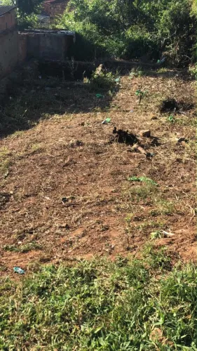 Vende-se terreno na cidade nova no loteamento bela vista.