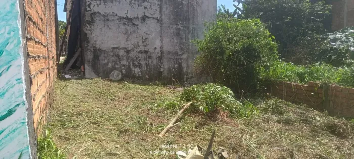 Vendo terreno barato!