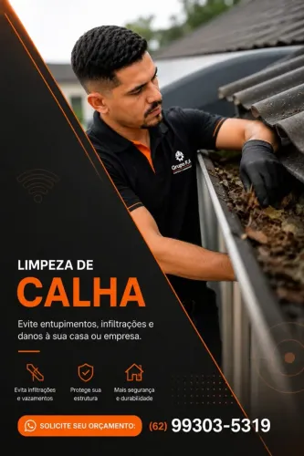 Limpeza De Calha