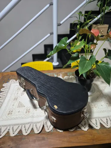 Case térmico para cavaquinho 