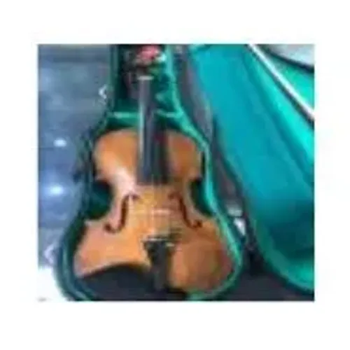 Kit Violino 4/4 Harmonizado Tipo Michael Raridade Completo Seminovo