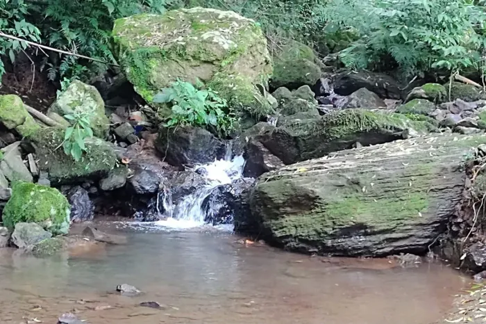 Área para investimento em Eco turismo.
