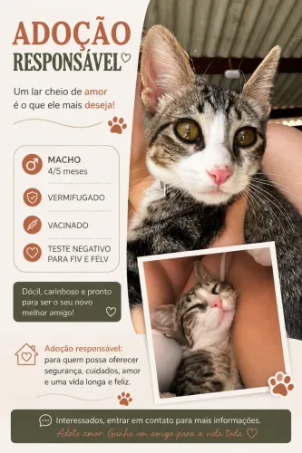 DOAÇÃO RESPONSÁVEL