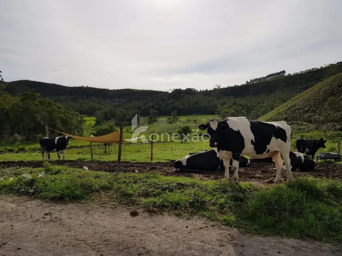 Fazenda de 58 hectares com belíssimo lago e espaço para confinamento em São Luiz do Parait