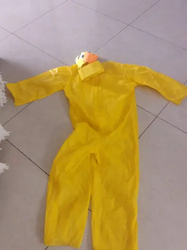 1 fantasia de patinho por R$25