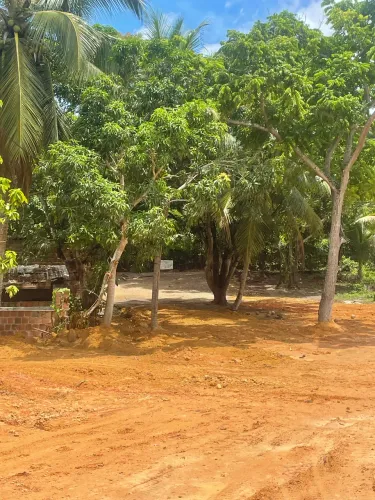 Vendo sítio Paulista PE em tabajaras 140 mil reais no precinho à vista 