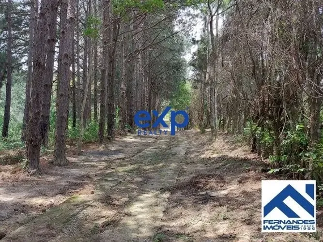 Sítio com 9,09 alqueires - Mairiporã/SP - A apenas 2 km da Rodovia Fernão Dias