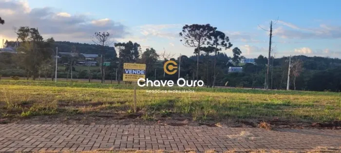 Terreno à venda, 322 m² por R$ 350.000,00 - Recanto Tropical - Cascavel/PR