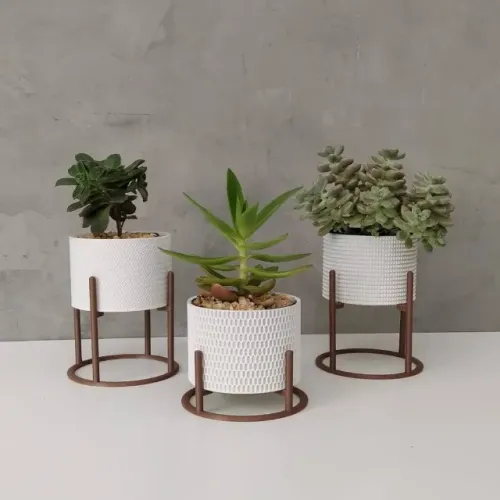 Kit 3 Vasos com Suporte | Vaso para Suculentas e Cactos Sob Encomenda