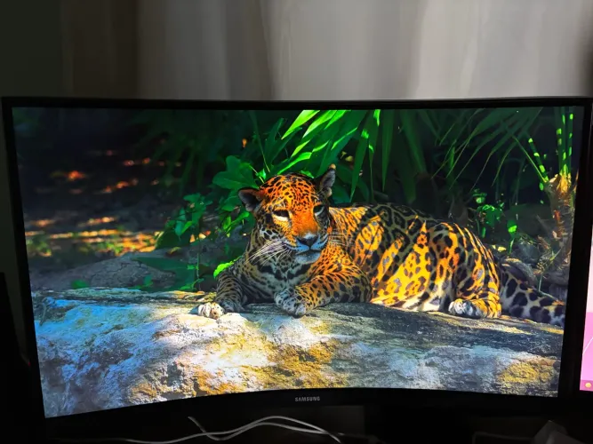 Monitor Samsung 27? Quad HD (QHD) - Seminovo, Apenas 2 Meses de Uso