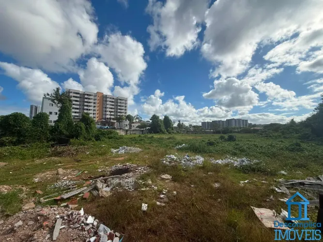 Terreno de 40.000m² - Caxangá