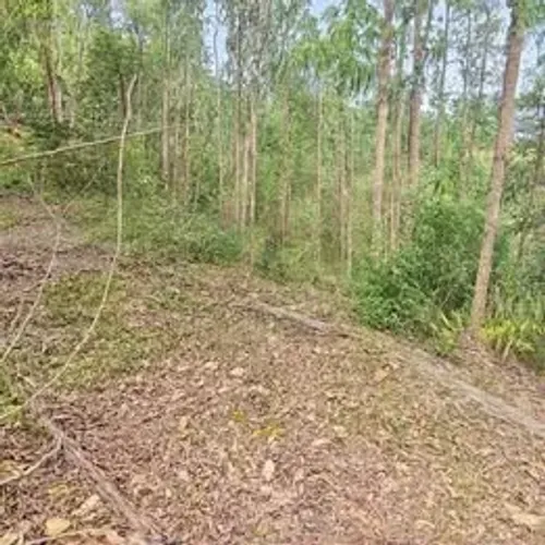 LINDAS CHÁCARAS, COM VISTA, DOMINGOS MARTINS, PARCELO, TROCO, ACEITO PROPOSTAS, PEGO CARRO