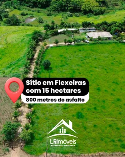 Sítio para Venda em Flexeiras, 3 dormitórios, 2 banheiros, 5 vagas