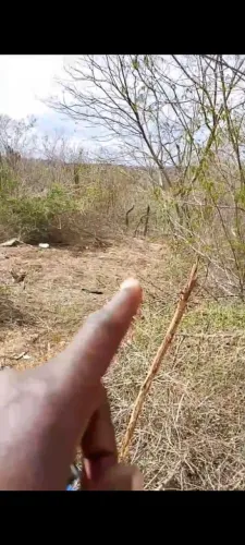 Vendo terreno no viveiros