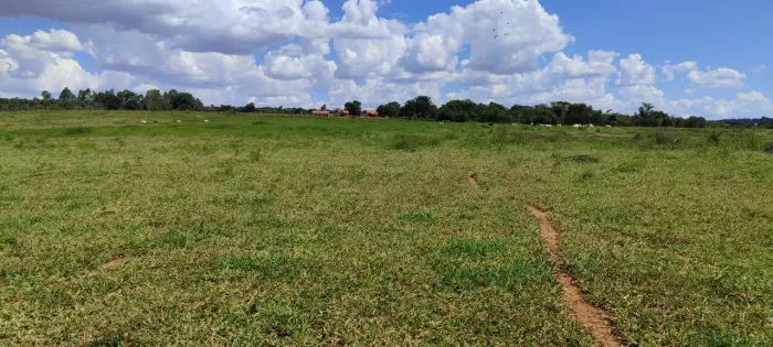 Fazenda Morrinhos