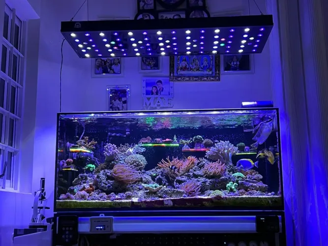 Luminária YasiLight AquaMarine 