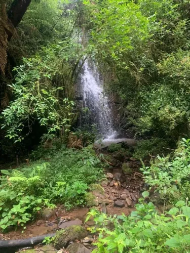 Sitio 30.000m2 com Cascata